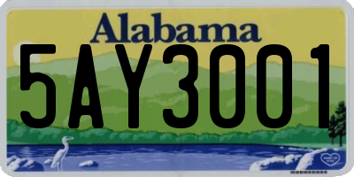 AL license plate 5AY3001