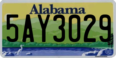 AL license plate 5AY3029