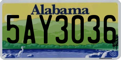 AL license plate 5AY3036