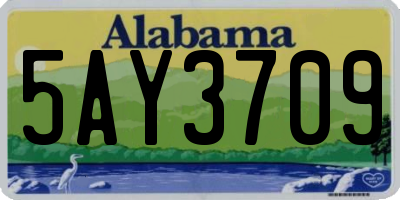 AL license plate 5AY3709