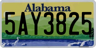 AL license plate 5AY3825
