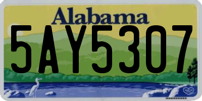 AL license plate 5AY5307