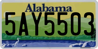 AL license plate 5AY5503