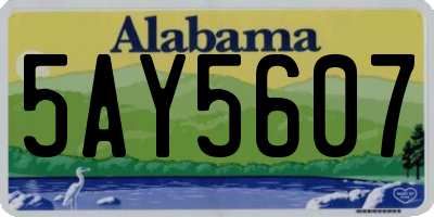 AL license plate 5AY5607
