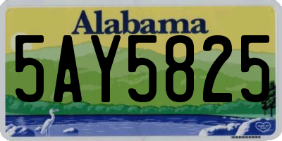 AL license plate 5AY5825