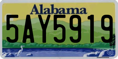 AL license plate 5AY5919