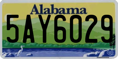 AL license plate 5AY6029