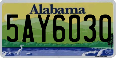 AL license plate 5AY6030