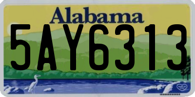 AL license plate 5AY6313