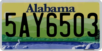 AL license plate 5AY6503