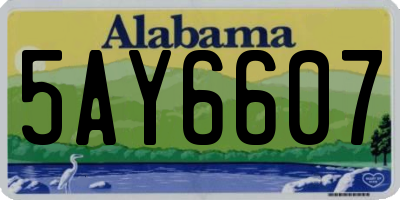 AL license plate 5AY6607