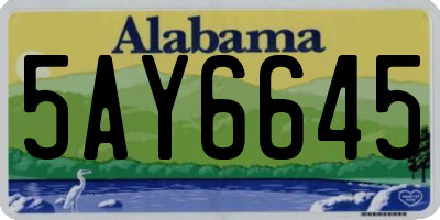 AL license plate 5AY6645