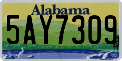AL license plate 5AY7309