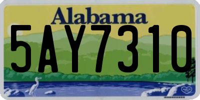 AL license plate 5AY7310