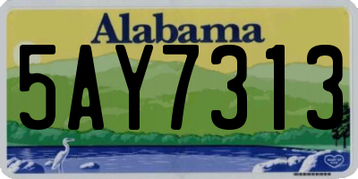 AL license plate 5AY7313