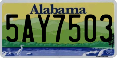 AL license plate 5AY7503