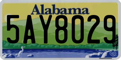 AL license plate 5AY8029