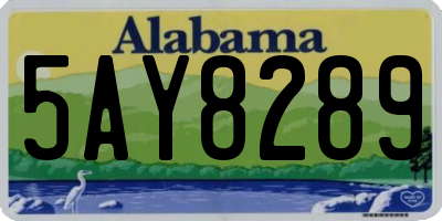 AL license plate 5AY8289