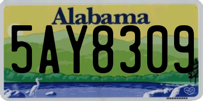 AL license plate 5AY8309
