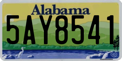 AL license plate 5AY8541