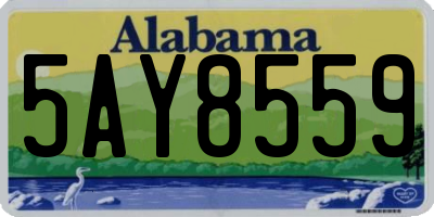 AL license plate 5AY8559