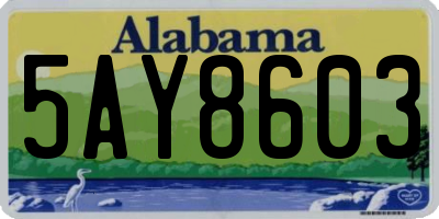 AL license plate 5AY8603
