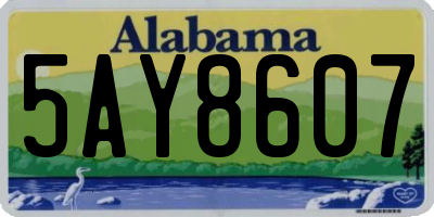 AL license plate 5AY8607