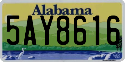 AL license plate 5AY8616