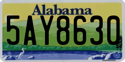 AL license plate 5AY8630