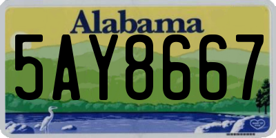 AL license plate 5AY8667