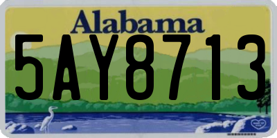AL license plate 5AY8713
