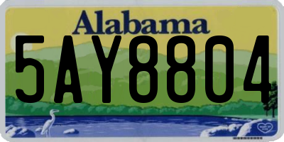 AL license plate 5AY8804