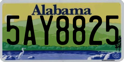 AL license plate 5AY8825