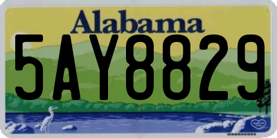 AL license plate 5AY8829