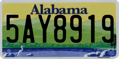 AL license plate 5AY8919