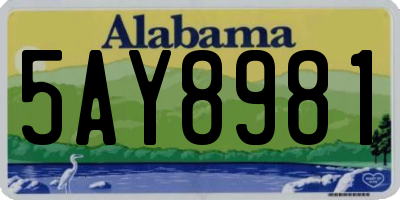 AL license plate 5AY8981