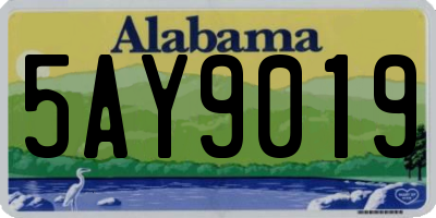 AL license plate 5AY9019