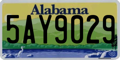 AL license plate 5AY9029