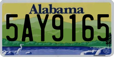 AL license plate 5AY9165