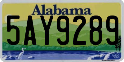AL license plate 5AY9289