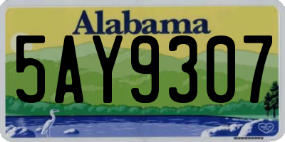 AL license plate 5AY9307