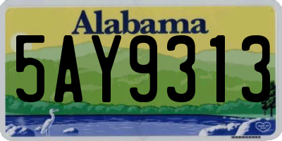 AL license plate 5AY9313
