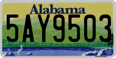 AL license plate 5AY9503