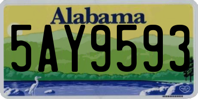 AL license plate 5AY9593