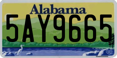 AL license plate 5AY9665