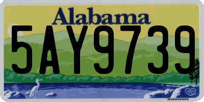 AL license plate 5AY9739
