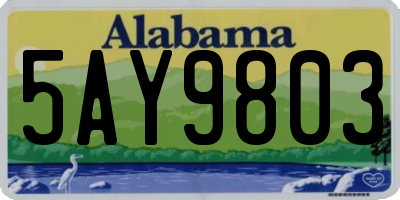 AL license plate 5AY9803
