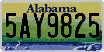 AL license plate 5AY9825
