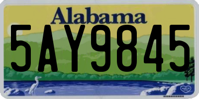 AL license plate 5AY9845