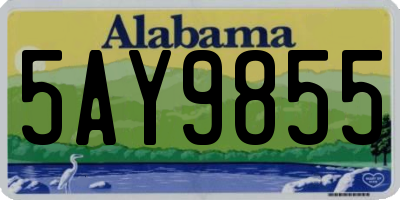 AL license plate 5AY9855